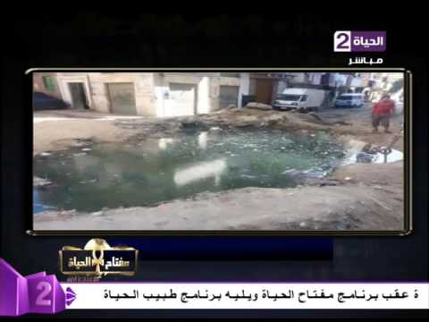 شاهد إيمان عز الدين تهاجم محافظ الإسكندرية