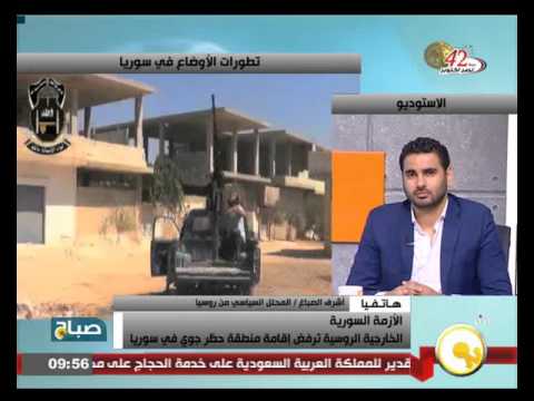 أشرف الصباغ يؤكد أن الموقف المصري إزاء الأزمة السورية عقلاني