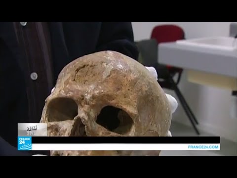 شاهد متحف الإنسان الباريسي يعيد فتح أبوابه قريبا