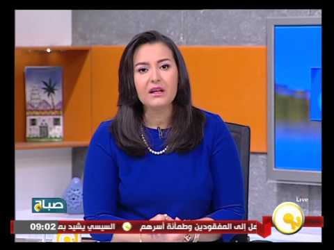وصول أول حاج مصاب في حادث تدافع منى إلى مطار القاهرة الدولي