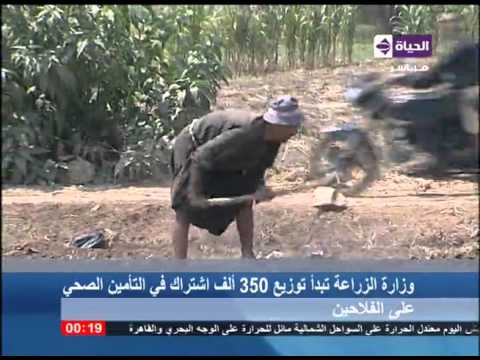 شاهد 350 ألف اشتراك في التأمين الصحي للفلاحين
