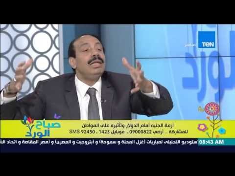 صلاح جودة يكشف علاقة إنخفاض الجنية أمام الدولار بالعزوف عن الانتخابات