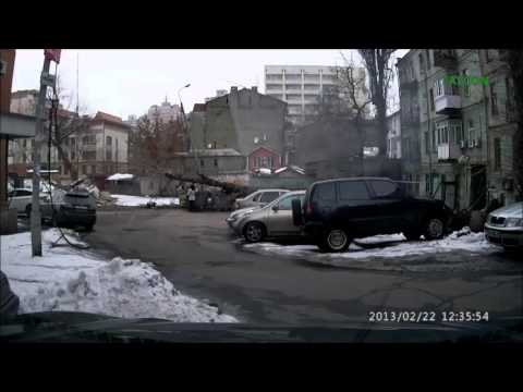 شجرة عملاقة تعطي سيدة أوكرانية فرصة ثانية للحياة