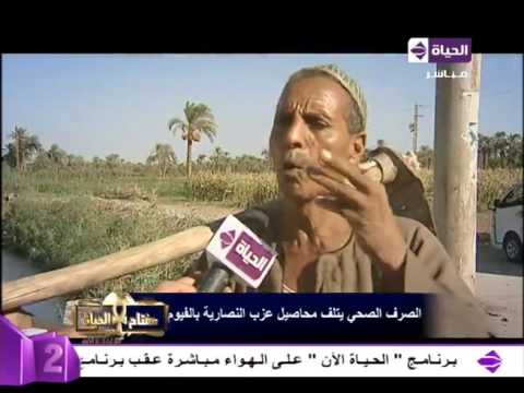 أسباب تلف محاصيل عزب النصارية في الفيوم