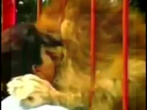 بالفيديو أم تنقذ طفلها من فك أسد مفترس