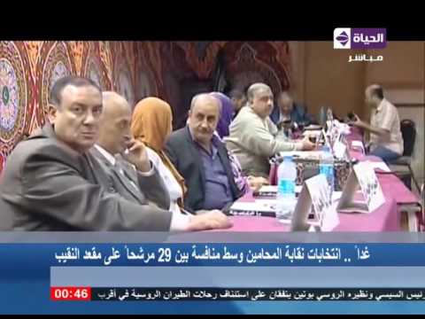 انطلاق انتخابات نقابة المحامين وسط منافسة بين 29 مرشحًا