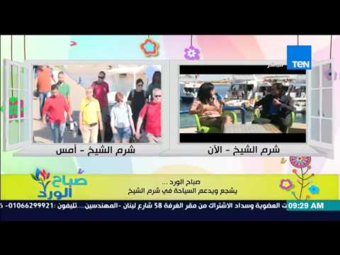 شاهد لقاء مع أحد المستثمرين في شرم الشيخ