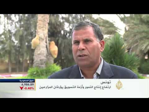 شاهد ارتفاع إنتاجية التمور في تونس