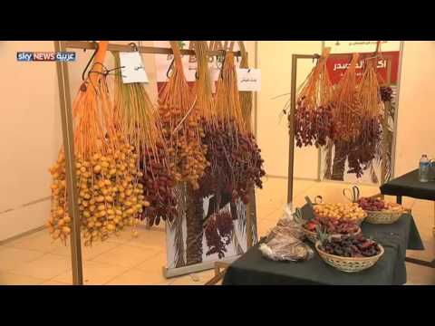 غزة تقيم معرض لتسويق البلح