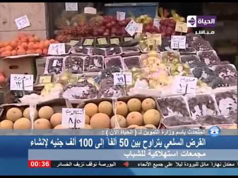 التموين توضح إجراءات منح قروض سلعية للشباب لإنشاء مجمعات استهلاكية