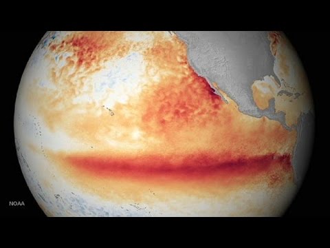 تشرين الثاني هو الشهر الأكثر حرارة منذ 1880