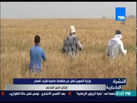 وزارة التموين تعلن عن مناقصة عالمية لشراء أقماح