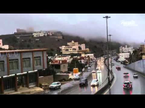 شاهد هطول الأمطار على  الباحة