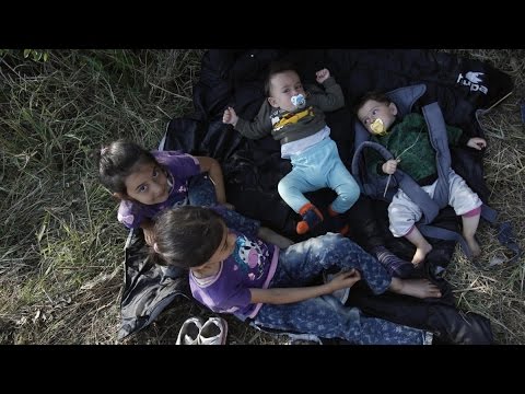 شاهد فيلم رحلة أطفال وحيدين هاربين