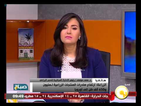 بالفيديو ارتفاع صادرات الفواكه والخضروات