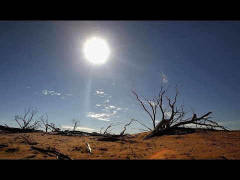 شاهد التحرك الشعبي المصري من أجل المناخ والبيئة