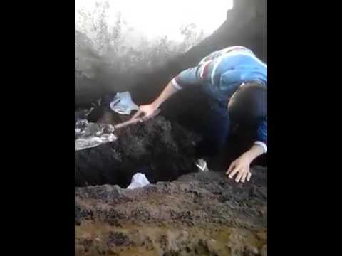 العثور على تمساح على أحد شواطئ المغرب