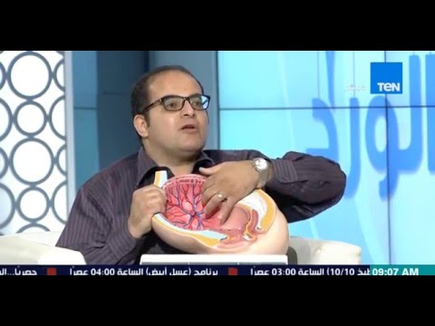 شاهد شوقي رشوان يشرح بالتفصيل تكوين المشيمة