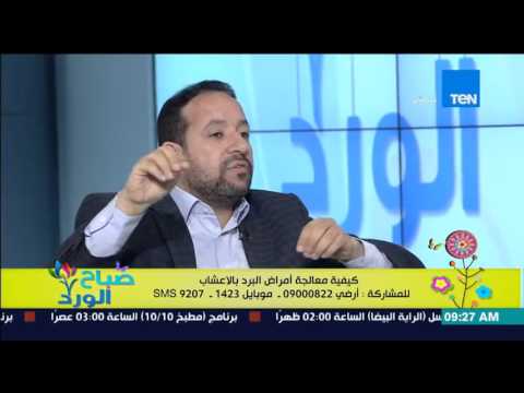 وصفة لزيادة التبويض عند السيدات والحيوانات المنوية للرجال