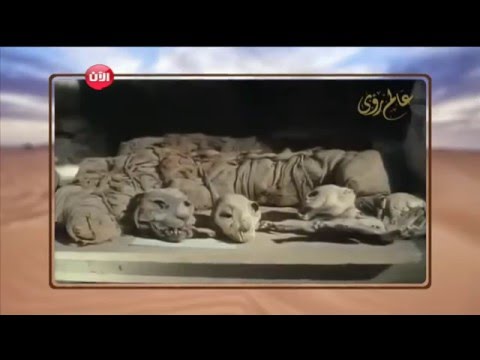 ضيف غريب يقتحم برنامج عالم رؤى