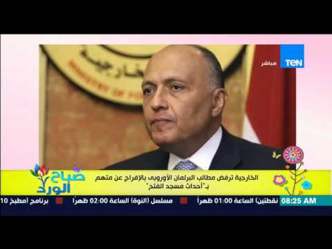 الخارجية ترفض مطالب البرلمان الأوروبي بالإفراج عن متهم بـ أحداث مسجد الفتح