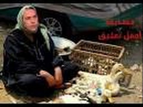 توفيق عكاشة يطالب بدعم الاستثمار في التعليم