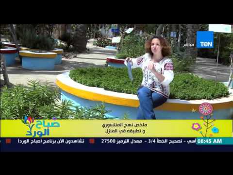 شاهد ملخص منهج المونتيسوري وتطبيقه في المنزل