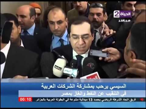 بالفيديو السيسي يرحب بمشاركة الشركات العربية