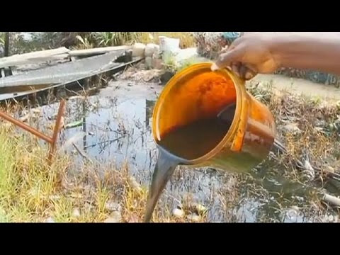 شاهد القضاء الهولندي يحكم باختصاصه في نظر دعاوى نيجيرية ضد شركة شل