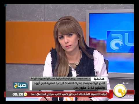شاهد ارتفاع صادرات المنتجات الزراعية المصرية إلى أوروبا والخليج