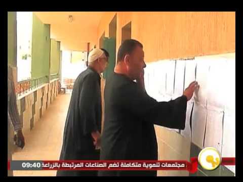 تعرف على تقرير بعثة جامعة الدول العربية عن الانتخابات البرلمانية