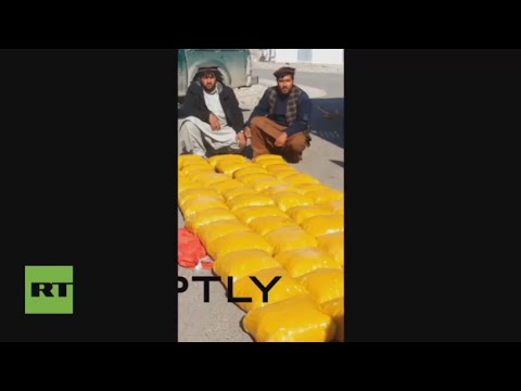 بالفيديو ضبط 600 كغم من الأفيون بعد جهود أمنية