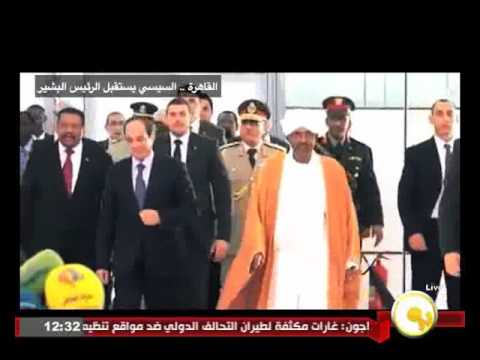 حصاد العلاقات المصرية الأفريقية العام 2015