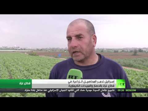 إسرائيل تستهدف قطاع الزراعة في غزة