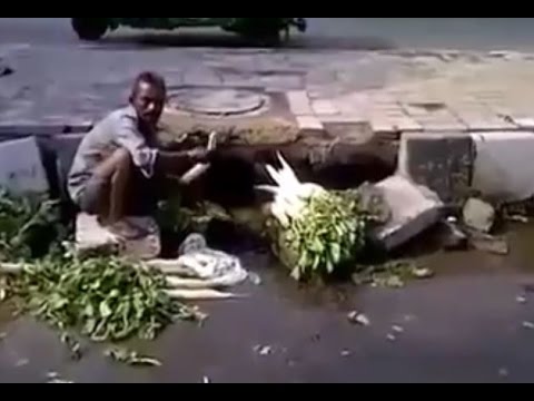 بائع يغسل الخضروات بمياه الصرف في الهند