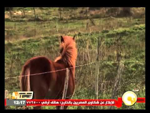 فيديو اشتعال النيران في غابات إقليمي آستورياس وكانتابريا شمال إسبانيا