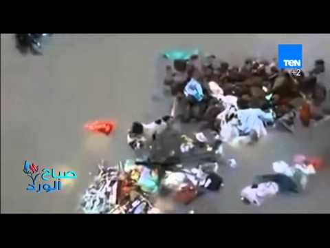 كلبة تنقذ جراءها من الغرق في السيول