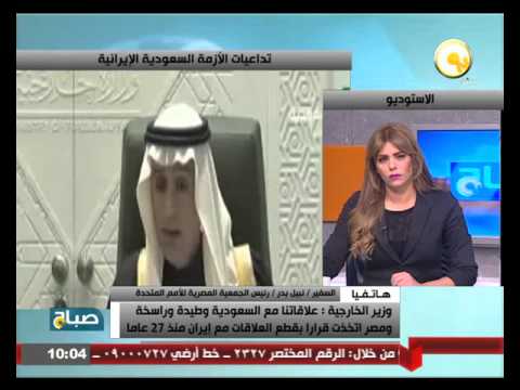 وزير الخارجية يؤكد اتخاذ مصر قرارًا بقطع العلاقات مع إيران
