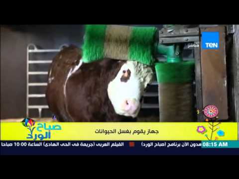 شاهد فيديو يجذب رواد التواصل الإجتماعي بجهاز مهمته غسل الحيوانات