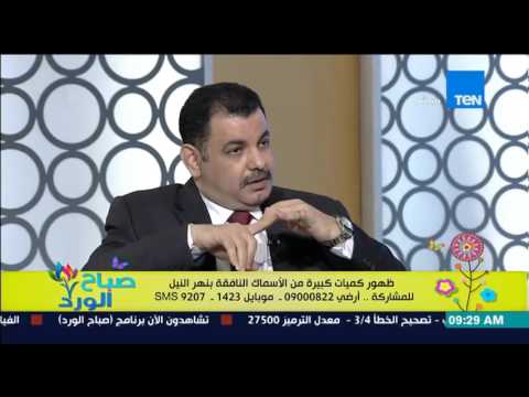 ظهور كميات كبيرة من الأسمالك النافقة بنهر النيل