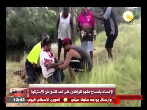 الإمساك بتمساح هاجم المواطنين على أحد الشواطيء الأسترالية