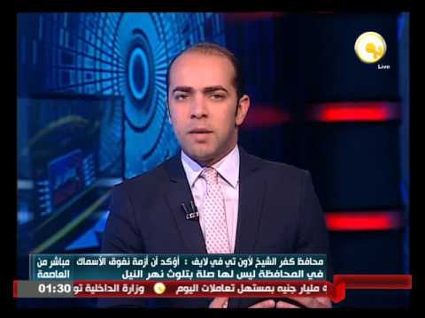 محافظ كفر الشيخ يكشف سبب نفوق أطنان الأسماك في المحافظة