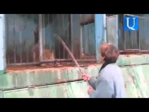 شاهد أسوأ حديقة حيوان في العالم