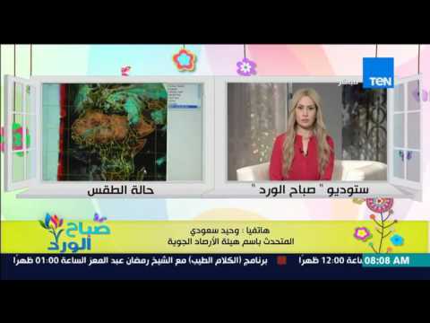 بالفيديو تعرف على حال الطقس ومعدلات درجات الحرارة