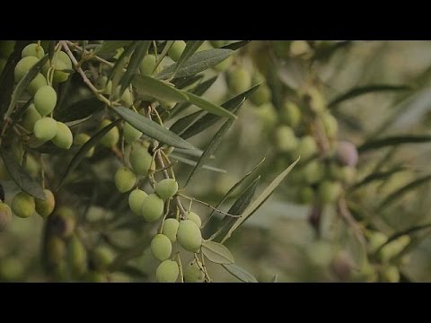 بالفيديو البرنامج الأوروبي لتشجيع و دعم الابتكار البيئي داخل المقاولات