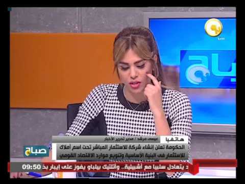 الحكومة المصرية تعلن إنشاء شركة للاستثمار المباشر