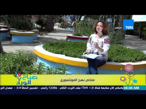 شاهد ملخص منهج المونتيسوري