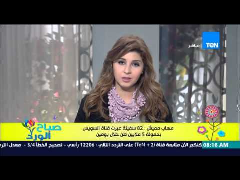 82 سفينة عبرت قناة السويس خلال يومين