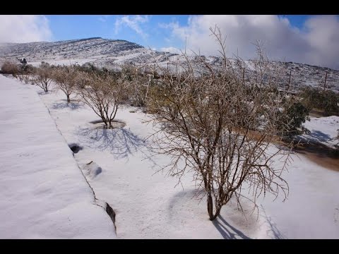 شاهد منخفض جوي في دول الخليج يتسبب بثلوج وصقيع