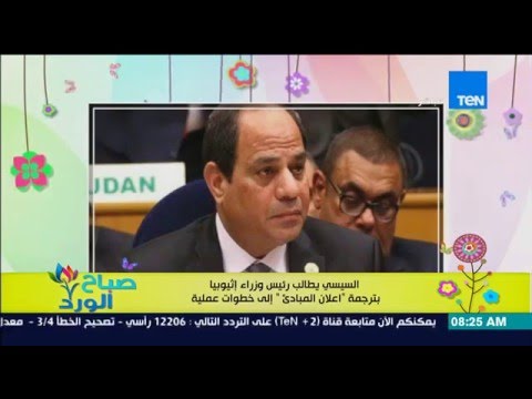 السيسى يطالب رئيس وزراء إثيوبيا بترجمة إعلان المبادئ إلى خطوات عملية